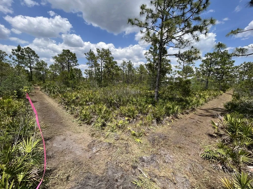 Professional outdoor landscaping for homes in Parrish, FL by Land man services