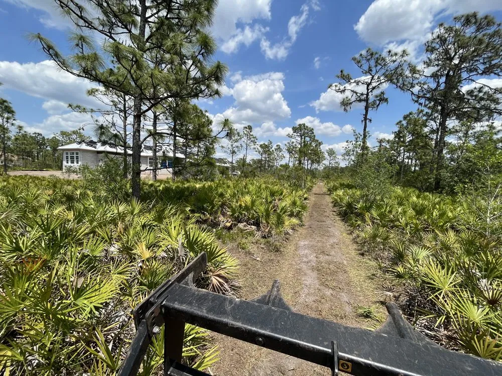 Professional lawn mowing service experts serving Parrish, FL - Land man services