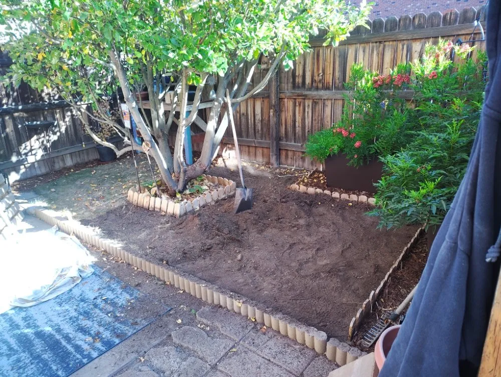 Top-rated yard maintenance in Albuquerque, NM - Land Masters