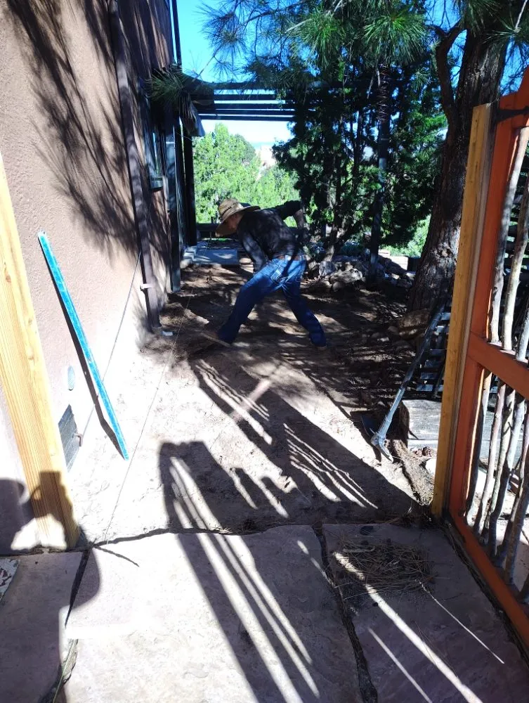 Trusted lawn care service for year-round maintenance in Albuquerque, NM by Land Masters