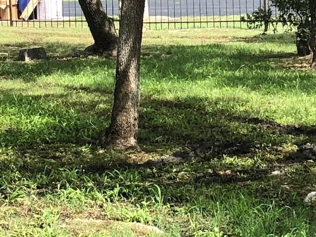 Trusted garden landscaping for beautiful yards in Helotes, TX by Land-N-Lawns