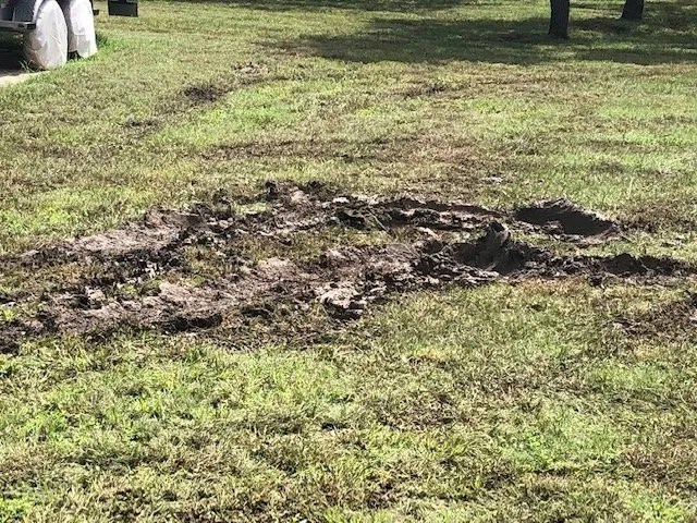 Custom garden landscaping for beautiful yards in Helotes, TX by Land-N-Lawns