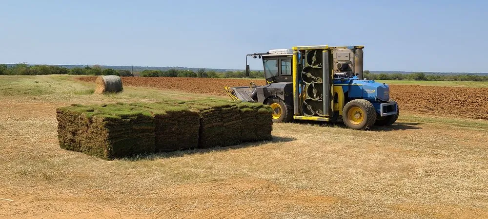 Reliable lawn care service for year-round maintenance across Helotes, TX - Land-N-Lawns