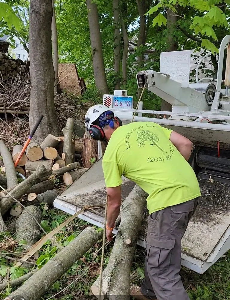 Professional garden landscaping in Ansonia, CT - Land N Tree