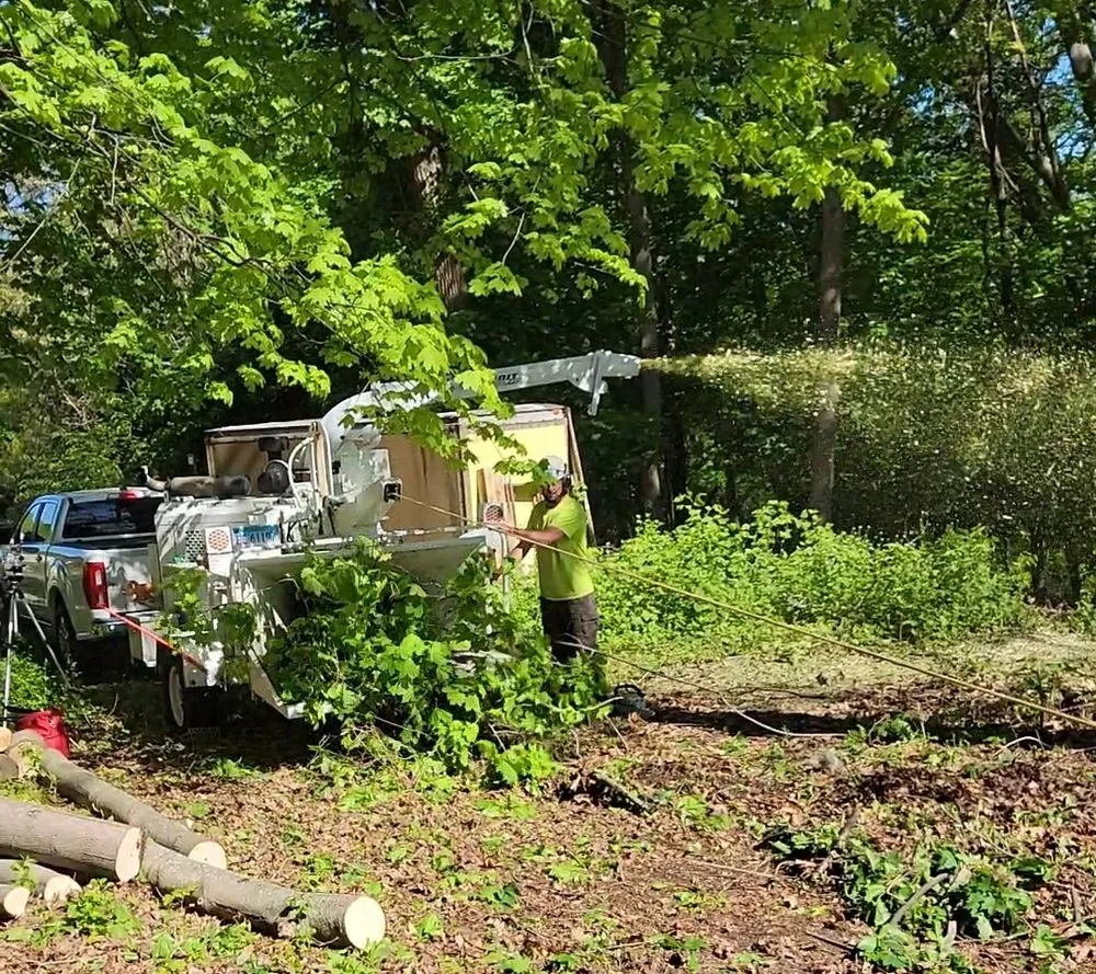 Professional yard maintenance experts serving Ansonia, CT - Land N Tree