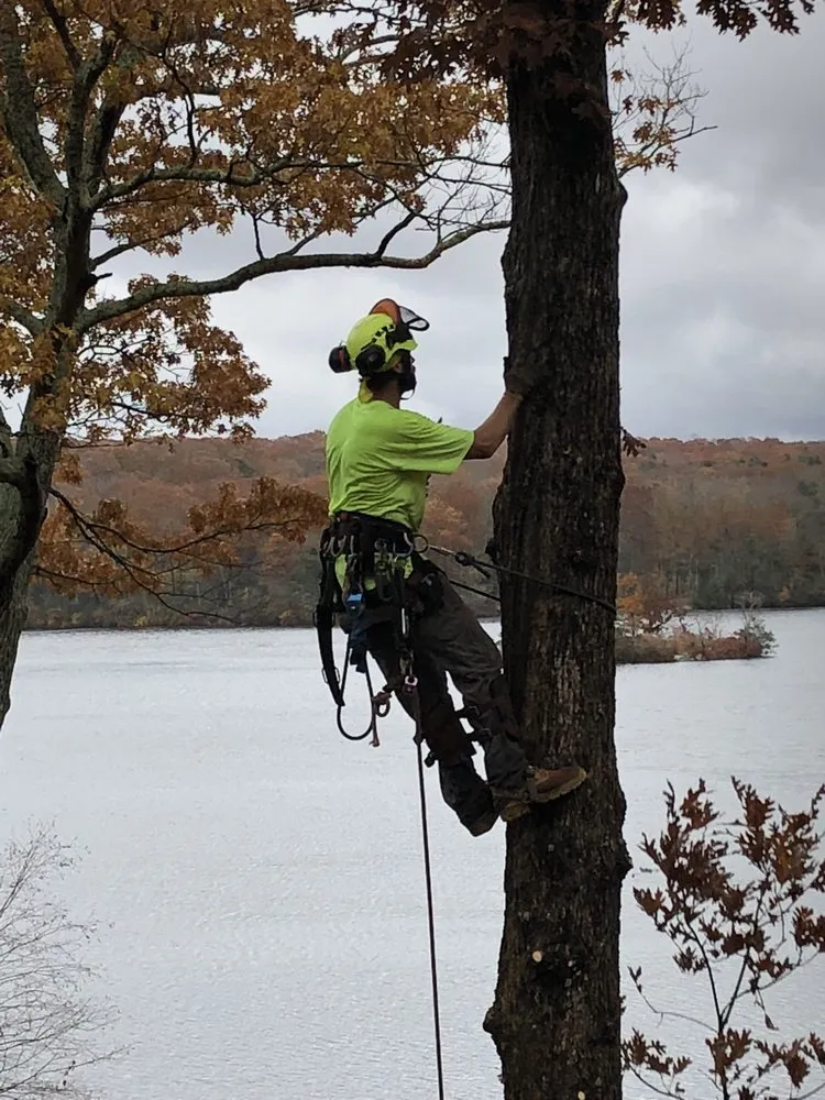 Expert lawn mowing service in Ansonia, CT - Land N Tree