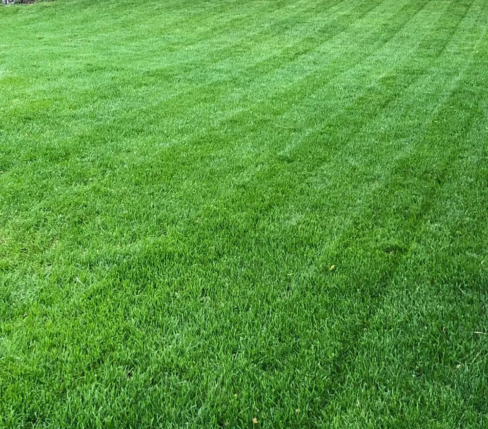 Custom landscaping services in Coon Rapids, MN by Land of 10,000 Lawns