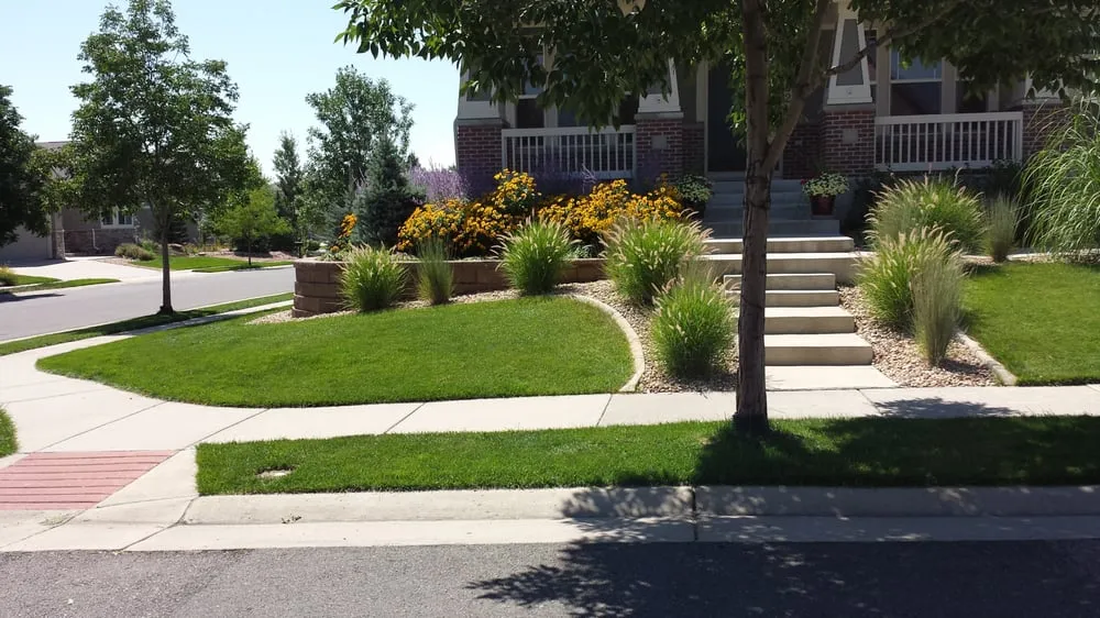 Expert residential landscaping experts serving Denver, CO - Land of Green