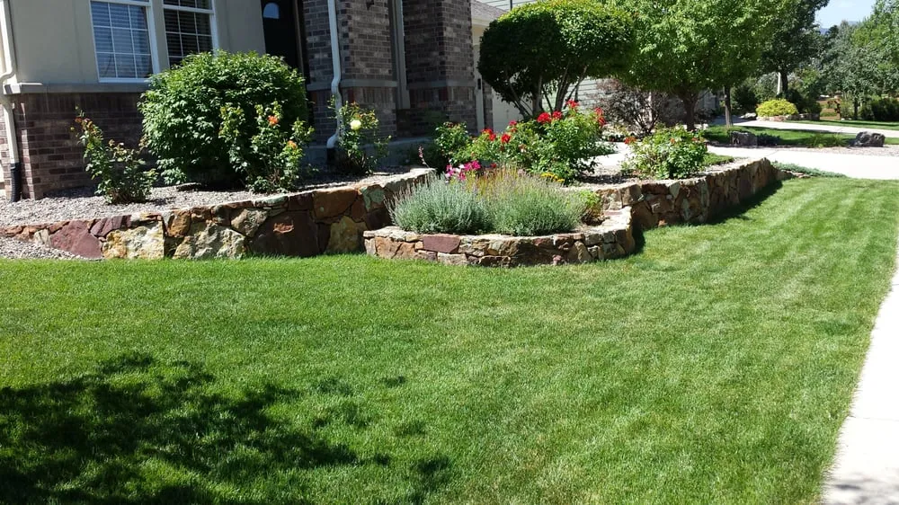 Top-rated lawn mowing service for year-round maintenance across Denver, CO - Land of Green