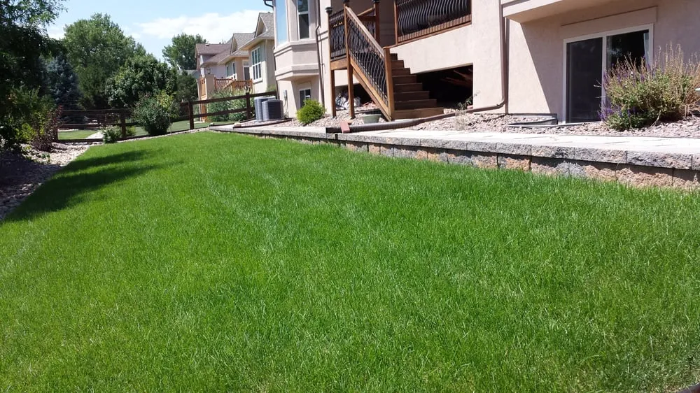 Local outdoor landscaping for residential properties in Denver, CO by Land of Green