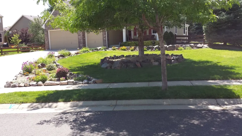 Affordable landscape installation for year-round maintenance in Denver, CO by Land of Green