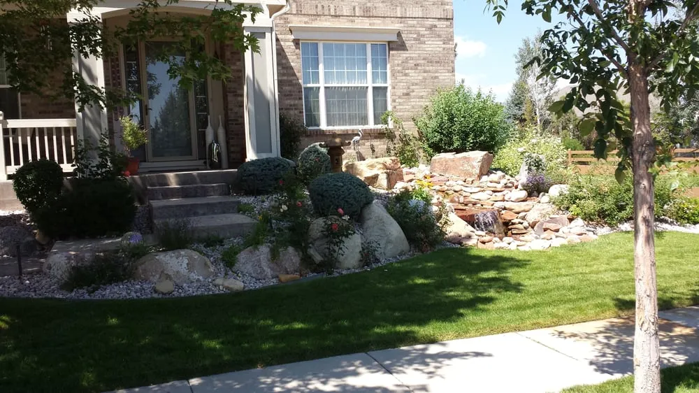 Reliable yard cleanup service for year-round maintenance in Denver, CO by Land of Green