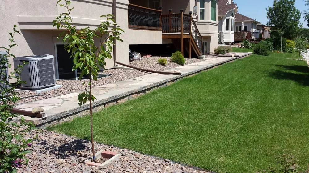 Affordable landscaping services in Denver, CO by Land of Green