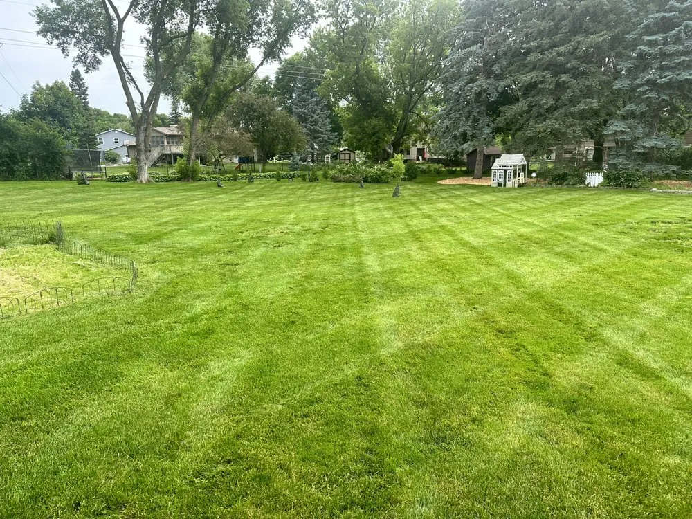 Top-rated lawn care service experts serving Minneapolis, MN - Land of Lakes Lawn and Snow