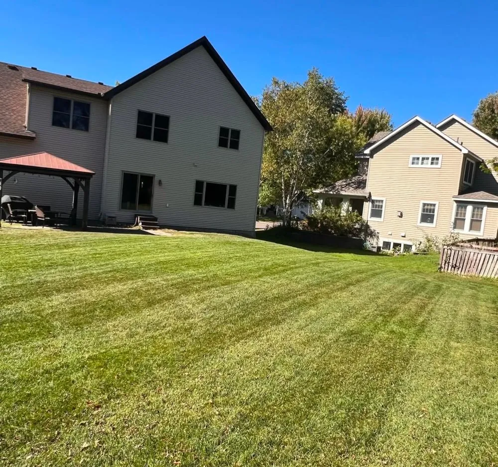 Top-rated yard cleanup service experts serving Plymouth, MN - Land Of Lakes