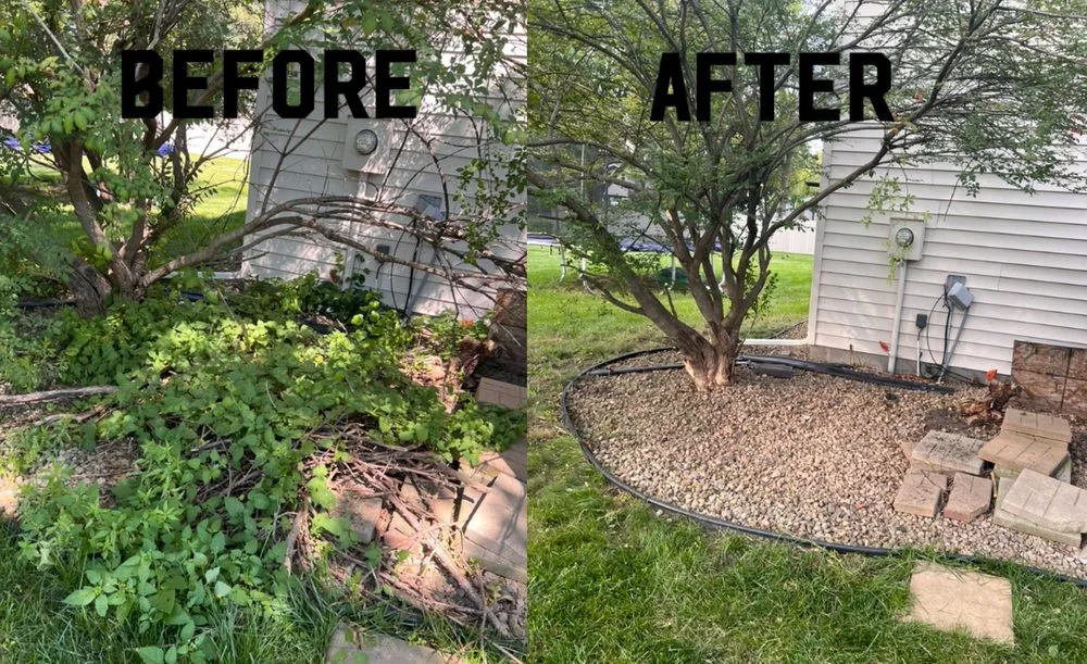 Expert yard maintenance for year-round maintenance in Plymouth, MN by Land Of Lakes