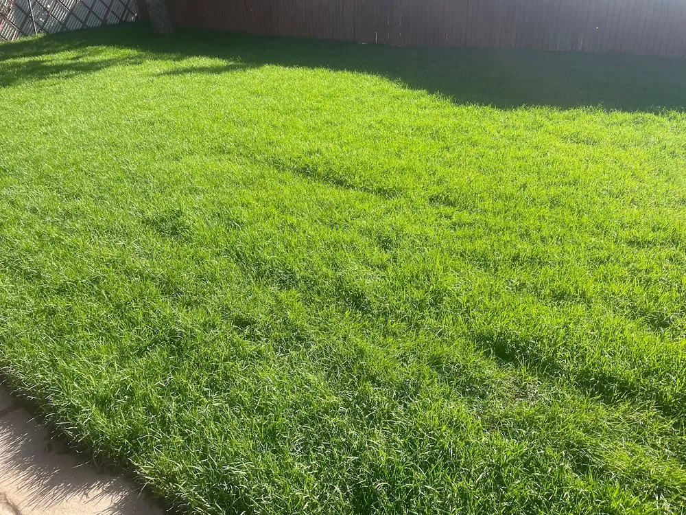 Top-rated landscape design experts serving Plymouth, MN - Land Of Lakes