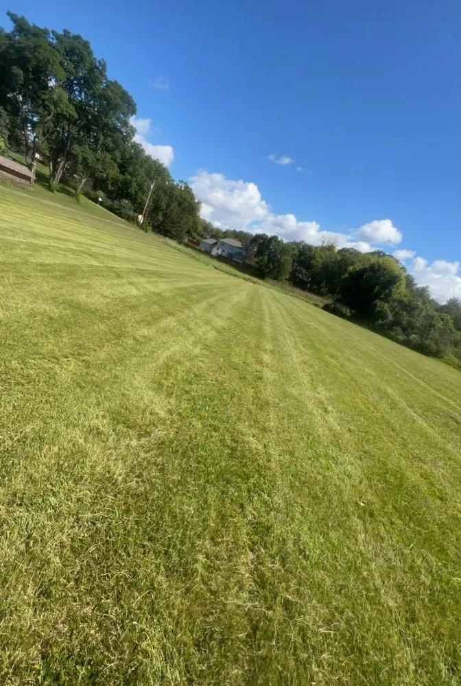 Professional landscape installation in Plymouth, MN - Land Of Lakes