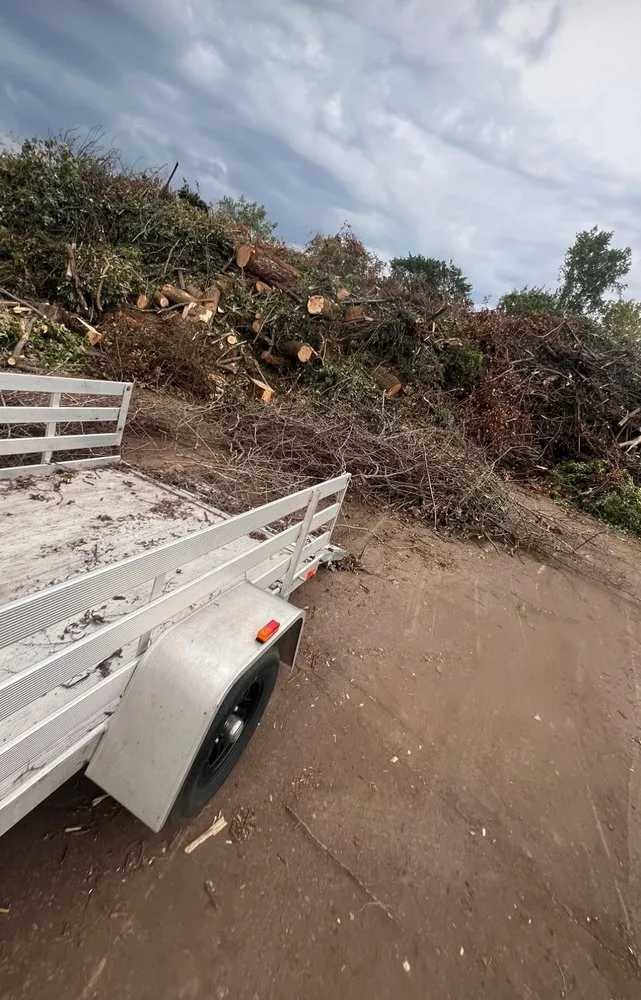 Expert landscape installation for beautiful yards across Plymouth, MN - Land Of Lakes