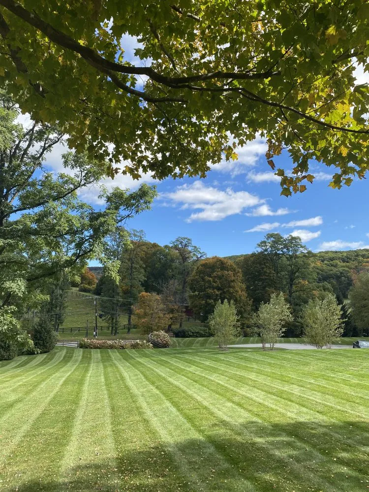 Affordable yard cleanup service in Pleasant Valley, NY by Land Perfection Property Managment