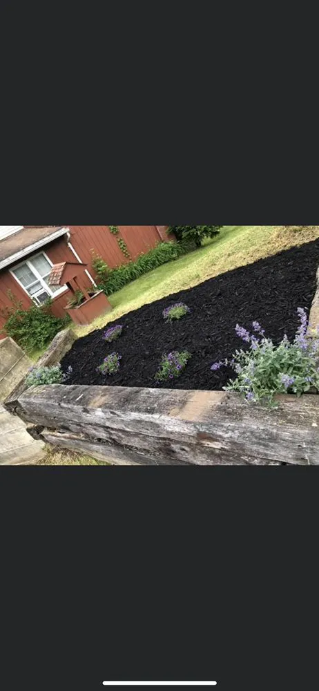 Reliable yard maintenance for homes in Pleasant Valley, NY by Land Perfection Property Managment