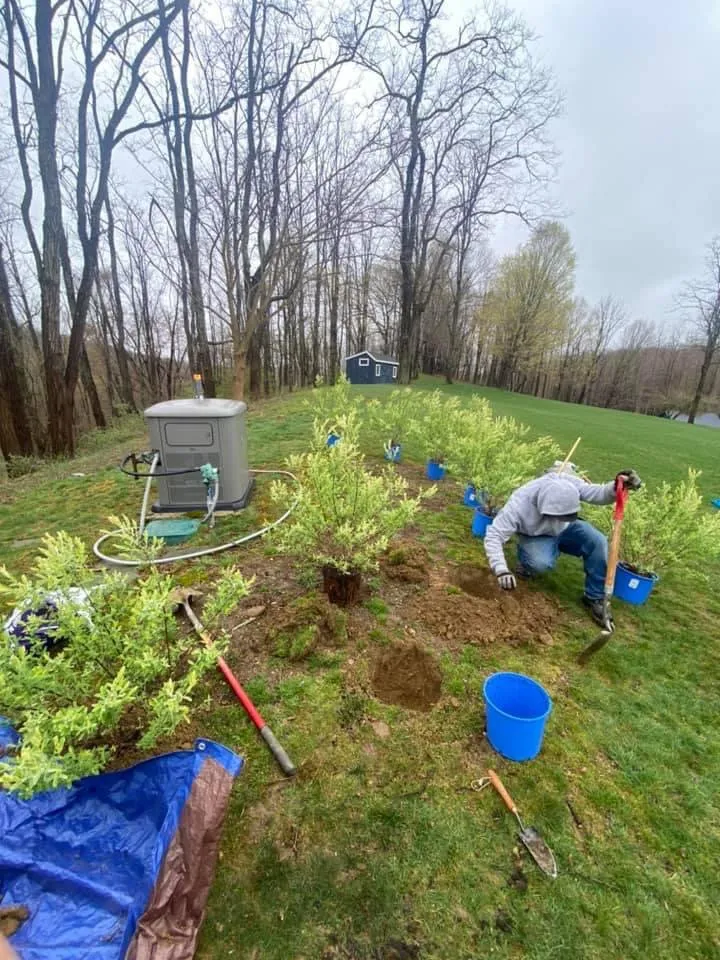 Trusted landscape design in Pleasant Valley, NY by Land Perfection Property Managment