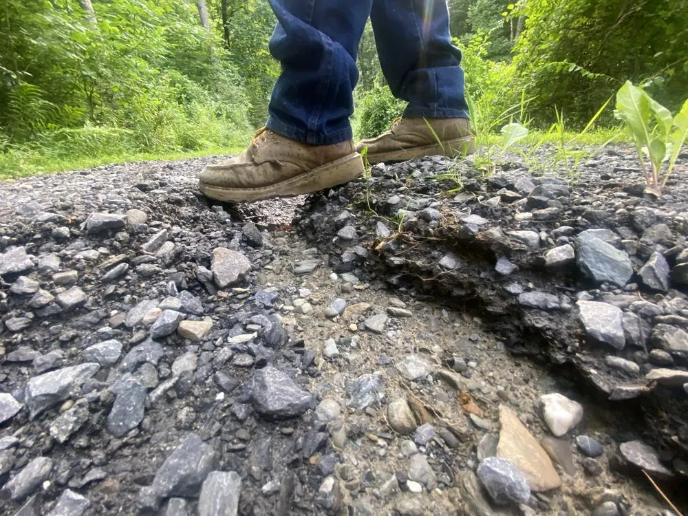 Top-rated residential landscaping near you across Pleasant Valley, NY - Land Perfection Property Managment