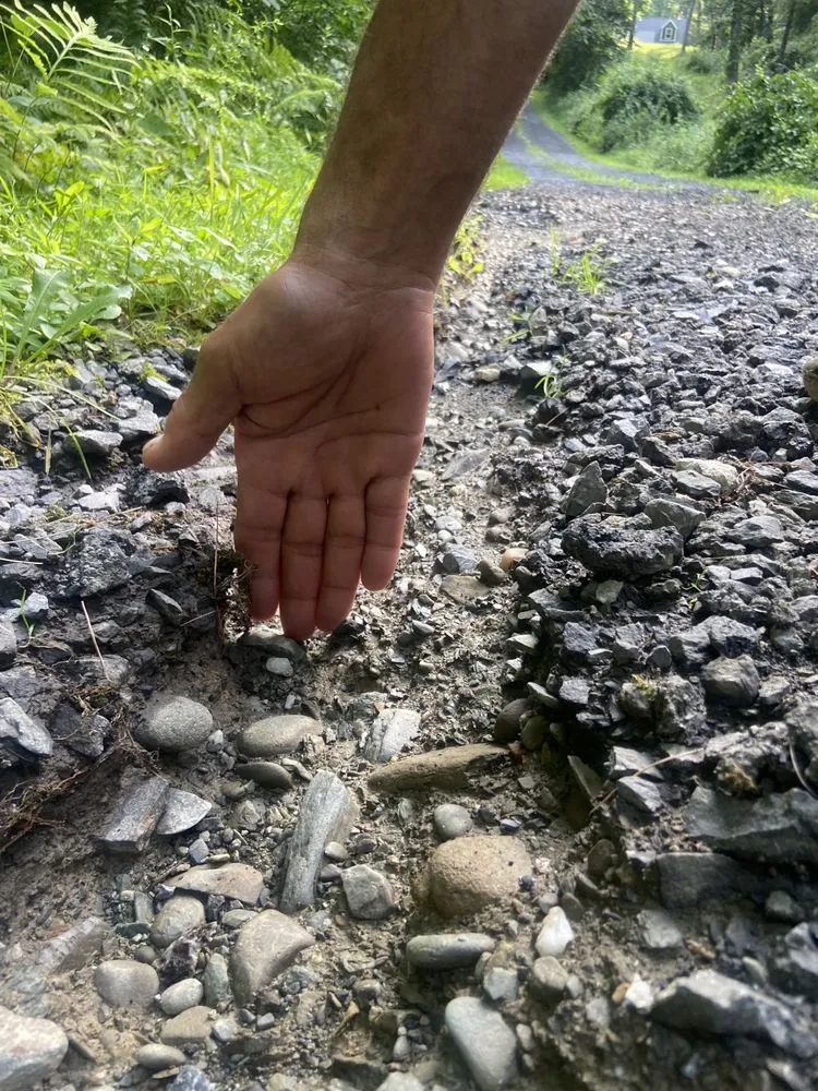 Local lawn care service in Pleasant Valley, NY - Land Perfection Property Managment