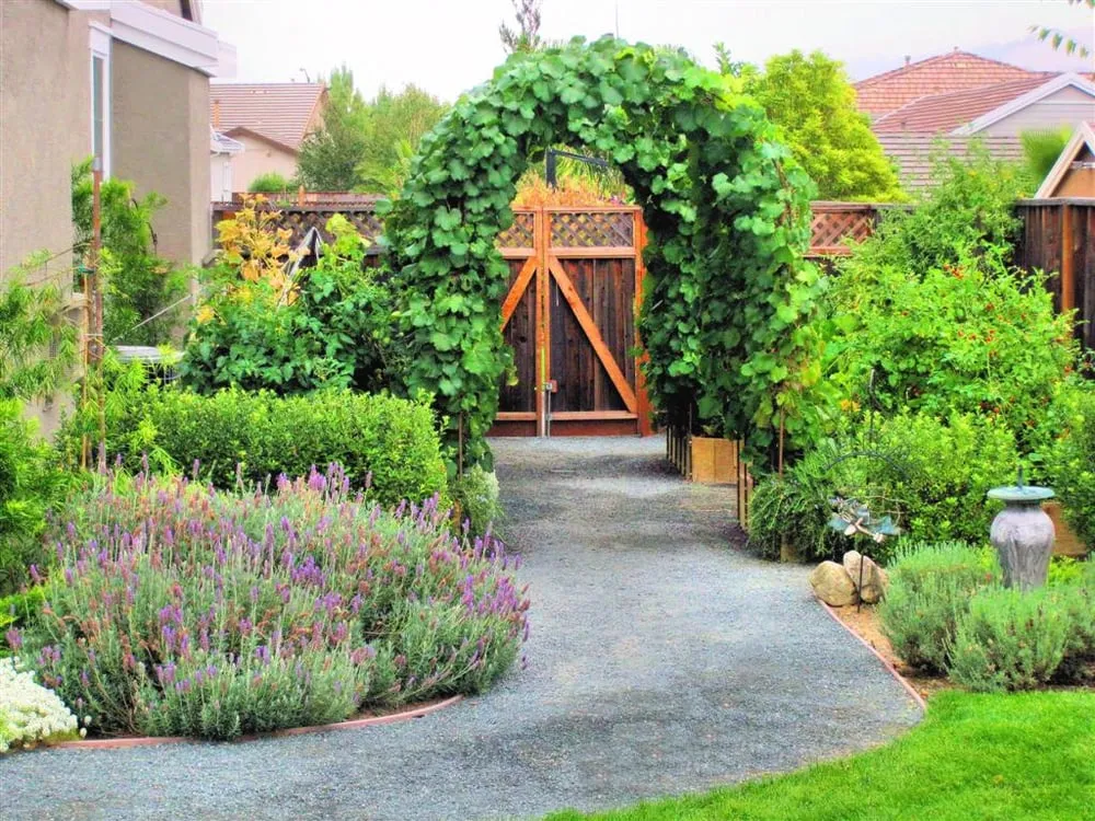 Trusted yard cleanup service with custom design in Pleasanton, CA by Land Plan