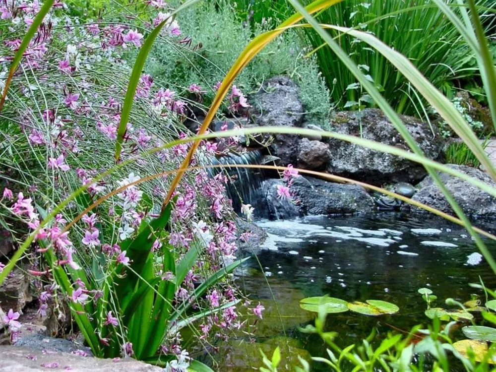 Custom residential landscaping for residential properties across Pleasanton, CA - Land Plan