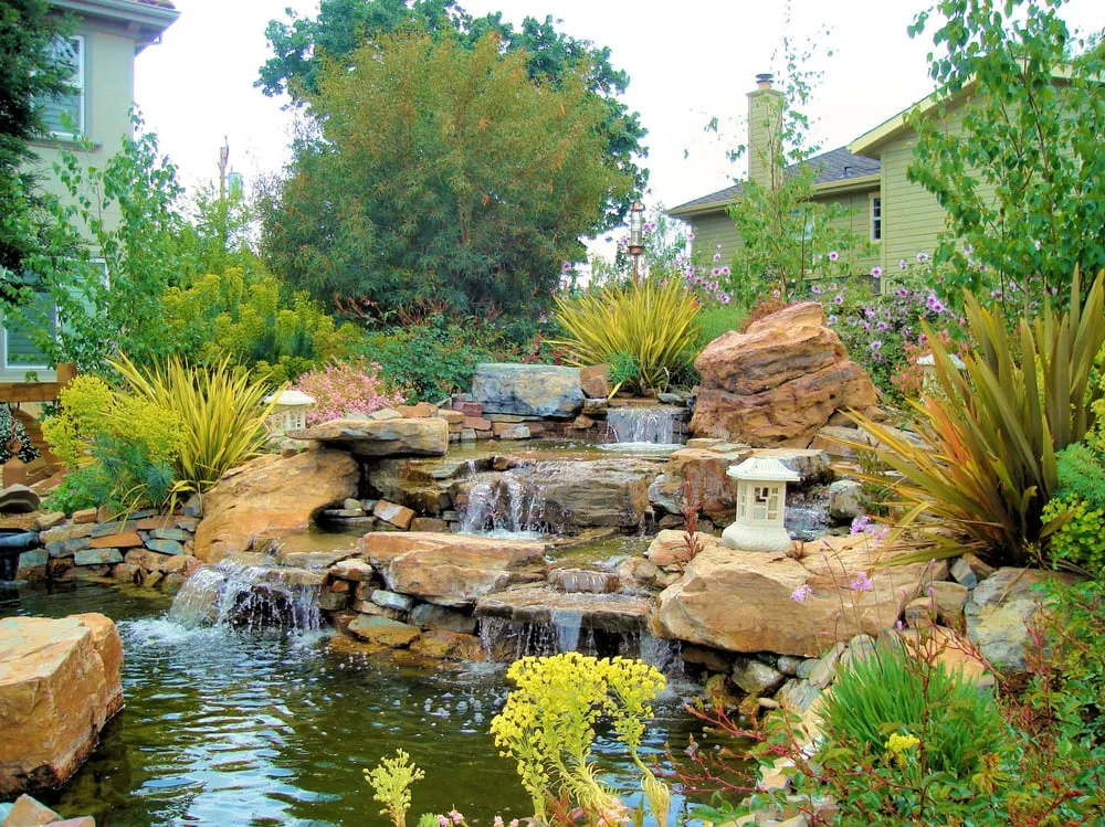 Expert yard cleanup service in Pleasanton, CA - Land Plan