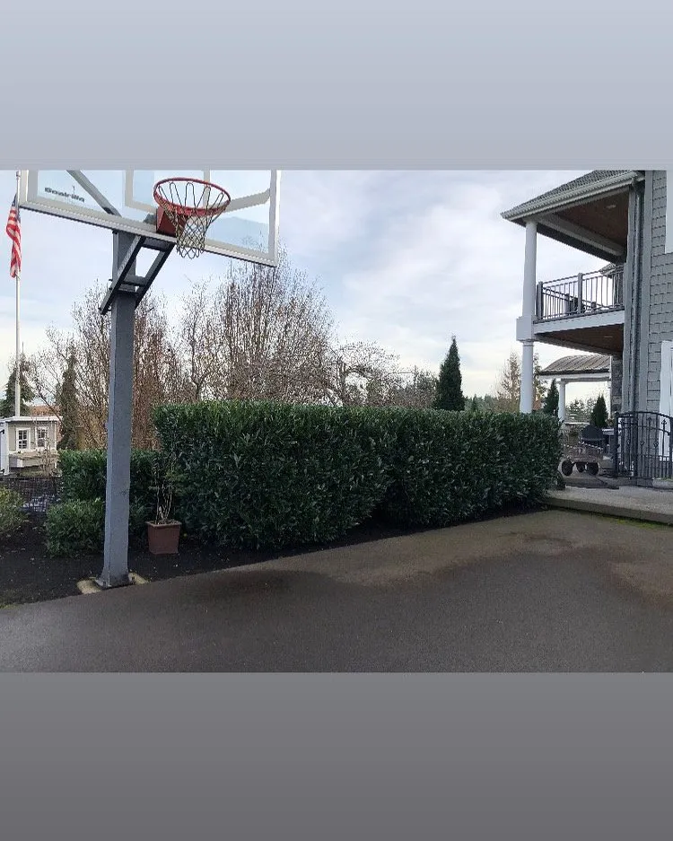 Trusted garden landscaping for year-round maintenance in Hillsboro, OR by Land Planet