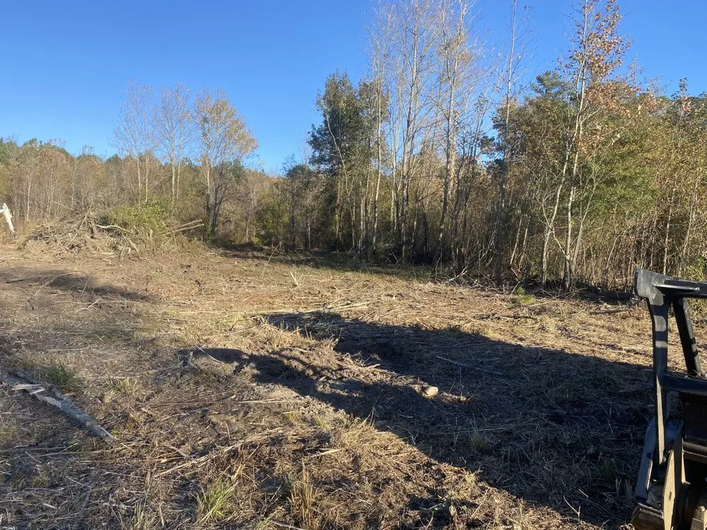Affordable landscaping services for outdoor upgrades in Fork, SC by Land Prep Solutions