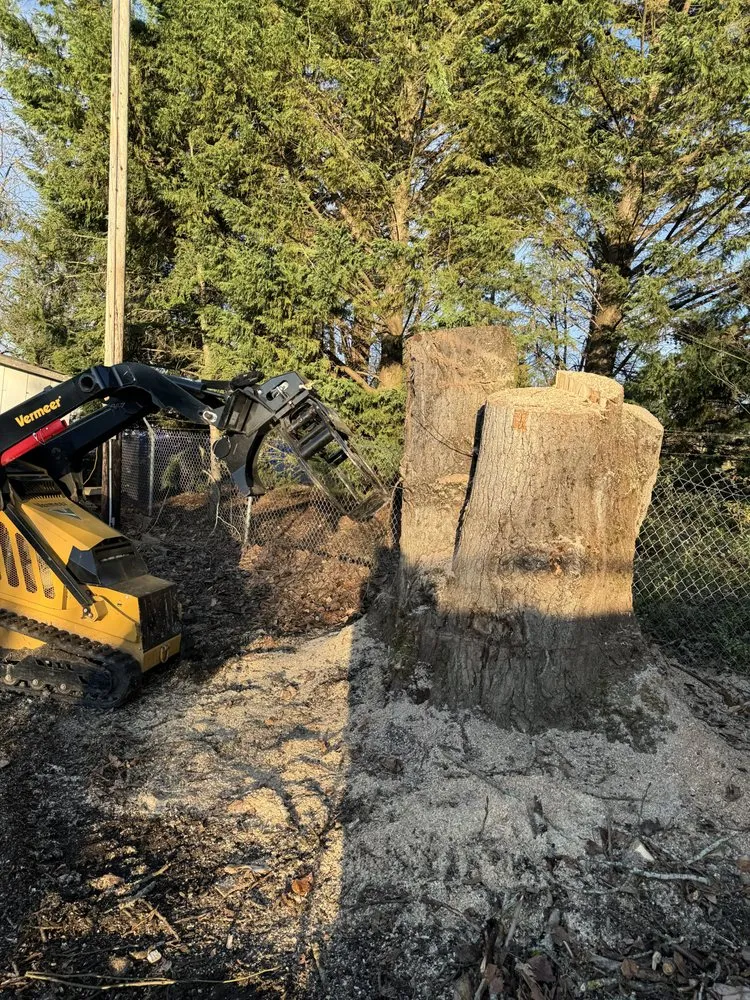 Affordable landscape installation for outdoor upgrades across Hillsboro, OR - Land-Pro