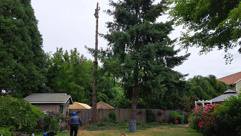 Custom garden landscaping for residential properties in Hillsboro, OR by Land-Pro