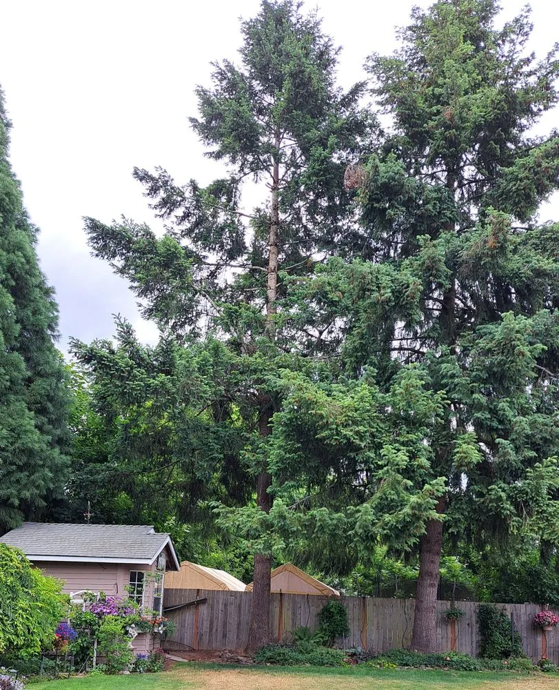 Reliable yard maintenance in Hillsboro, OR - Land-Pro