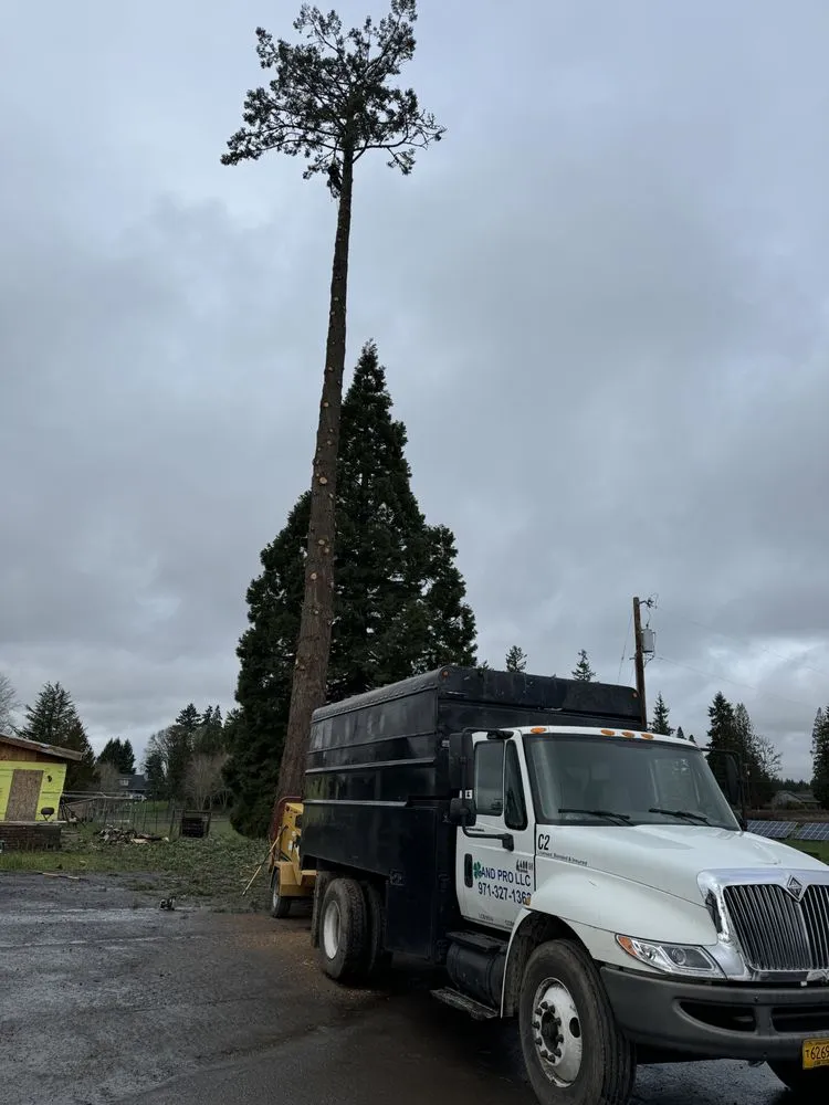 Professional yard cleanup service for residential properties in Hillsboro, OR by Land-Pro