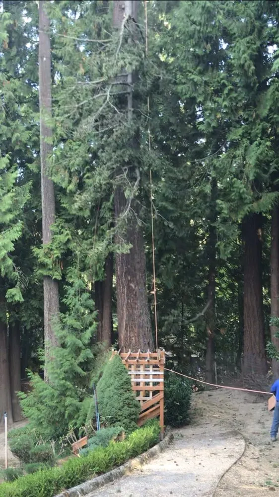 Affordable yard maintenance in Hillsboro, OR - Land-Pro