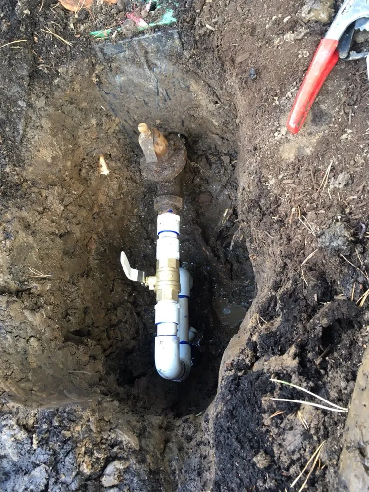 Affordable yard maintenance for year-round maintenance across Hillsboro, OR - Land-Pro