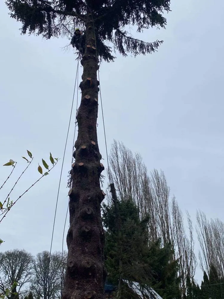 Expert garden landscaping for residential properties across Hillsboro, OR - Land-Pro