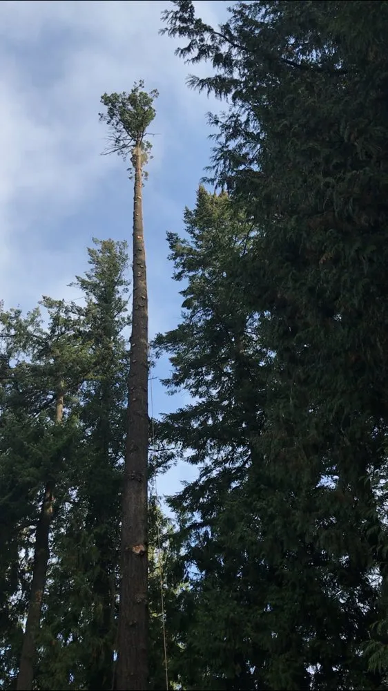 Reliable lawn care service in Hillsboro, OR - Land-Pro