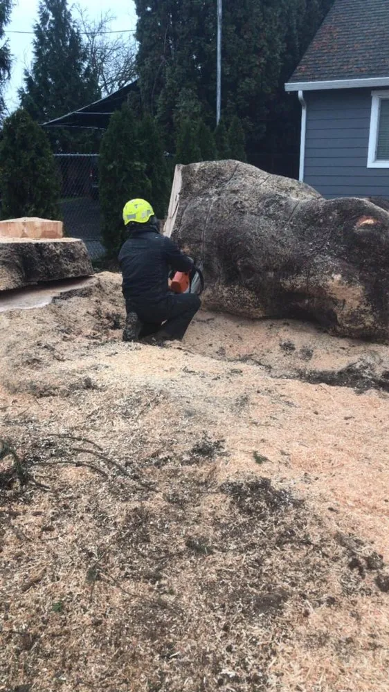 Custom residential landscaping experts serving Hillsboro, OR - Land-Pro