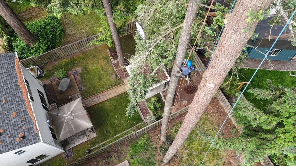 Local residential landscaping experts serving Hillsboro, OR - Land-Pro