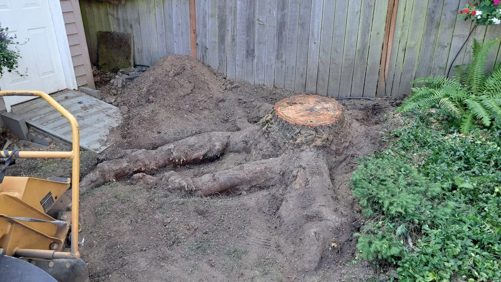 Local lawn care service for beautiful yards across Hillsboro, OR - Land-Pro