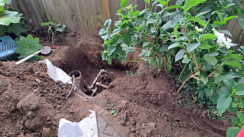 Professional lawn care service in Hillsboro, OR by Land-Pro