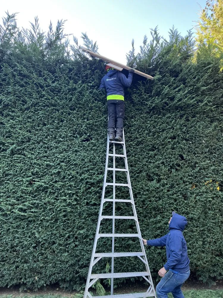 Top-rated landscape installation experts serving Hillsboro, OR - Land-Pro