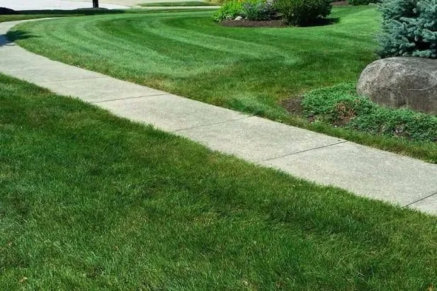 Professional landscape design for outdoor upgrades across Mogadore, OH - Land Pro Landscaping & Tree Service