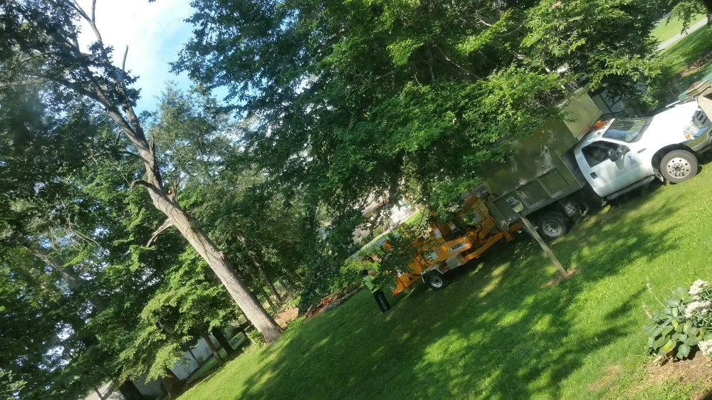 Top-rated landscape installation for year-round maintenance across Mogadore, OH - Land Pro Landscaping & Tree Service