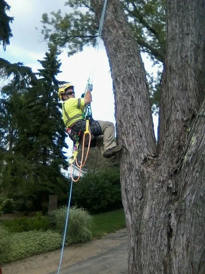 Reliable outdoor landscaping experts serving Mogadore, OH - Land Pro Landscaping & Tree Service