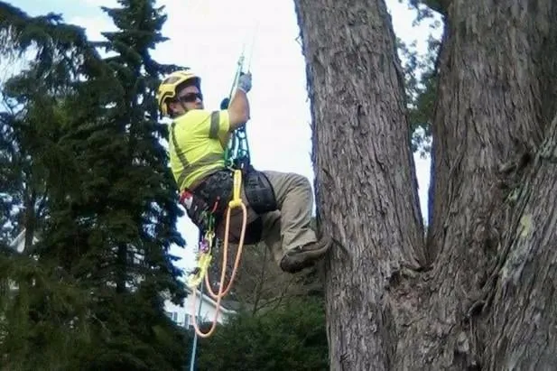 Expert lawn mowing service experts serving Mogadore, OH - Land Pro Landscaping & Tree Service